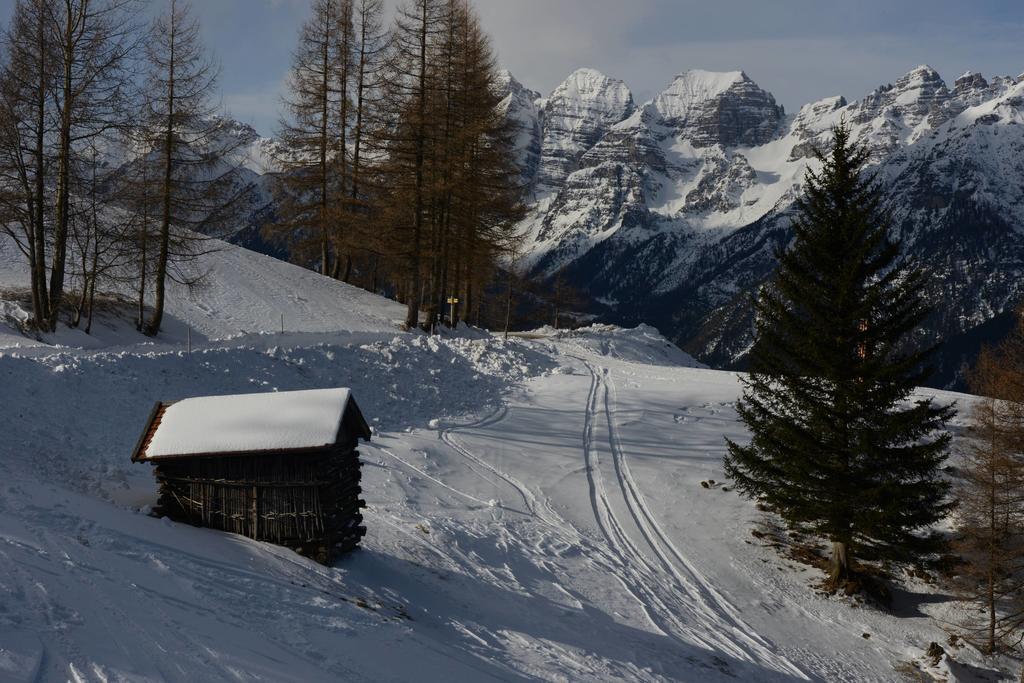 Haus Elisabeth Acomodação com café da manhã Neustift im Stubaital Exterior foto