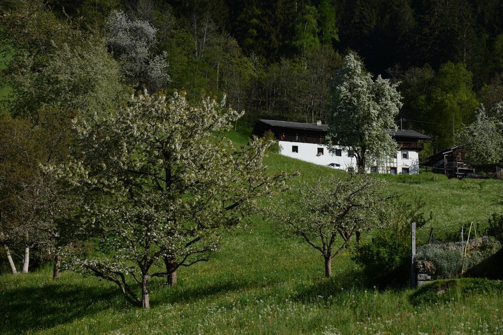 Haus Elisabeth Acomodação com café da manhã Neustift im Stubaital Exterior foto