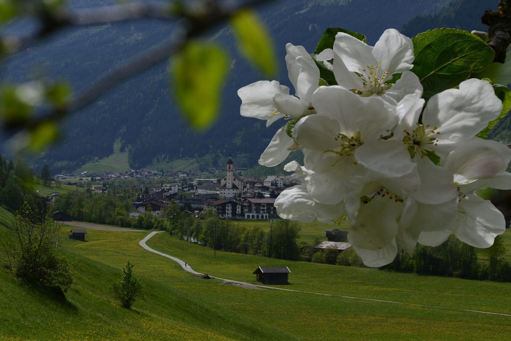 Haus Elisabeth Acomodação com café da manhã Neustift im Stubaital Exterior foto