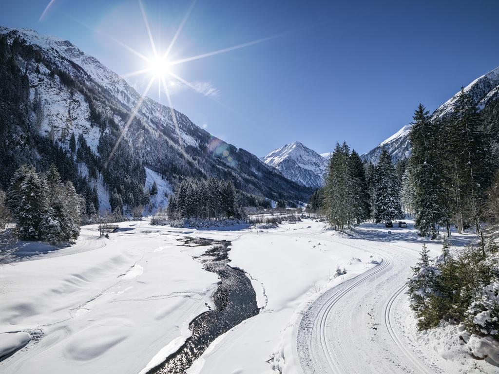 Haus Elisabeth Acomodação com café da manhã Neustift im Stubaital Exterior foto